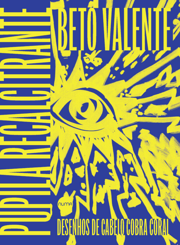 Pupila recalcitrante