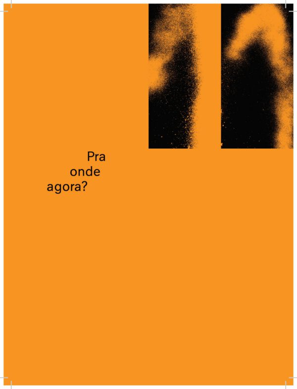 Pra onde agora – Zine Novas Frequências